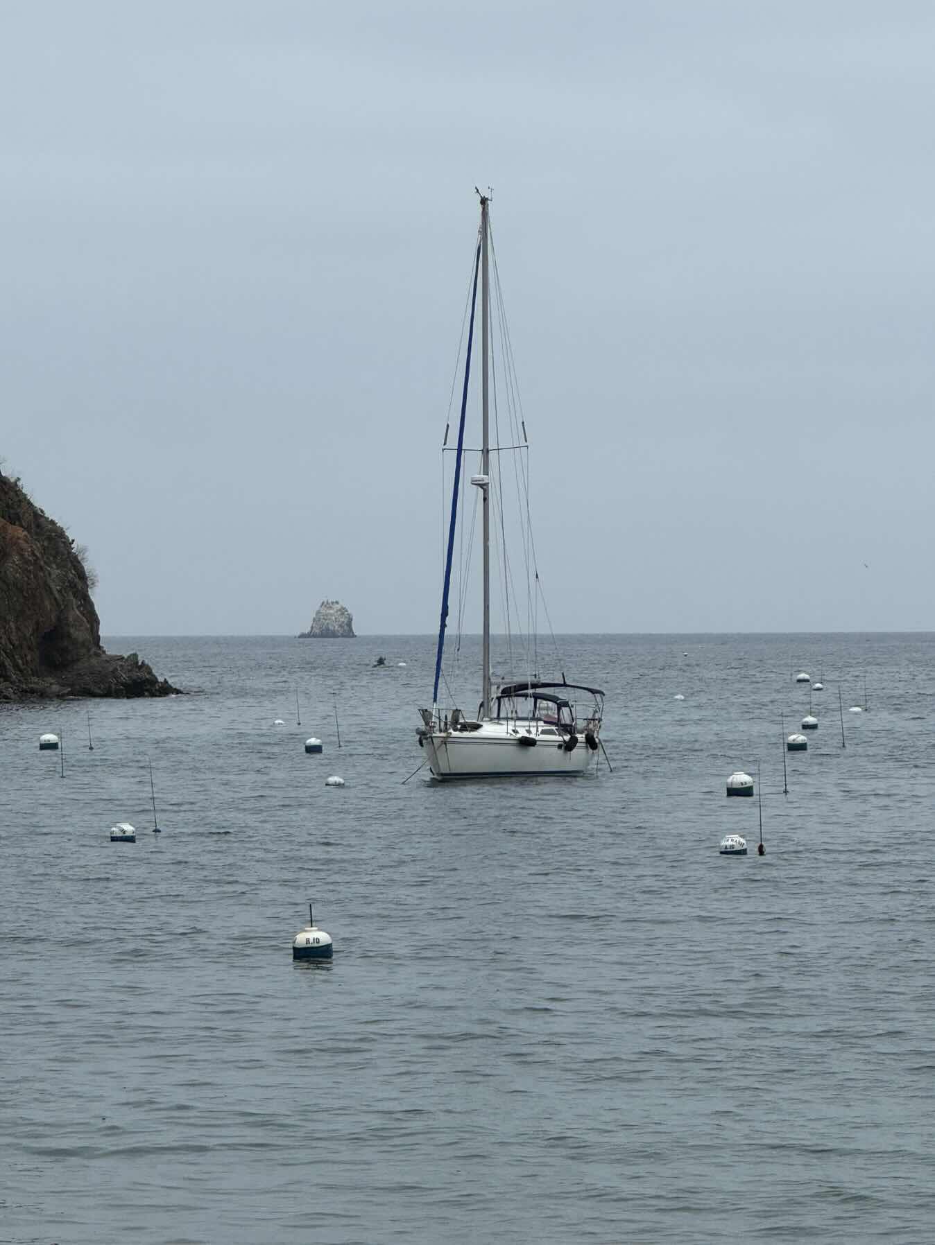 ASA104 - cruise to Catalina_770A672D-5A22-42F9-8ABC-E9287826D13D