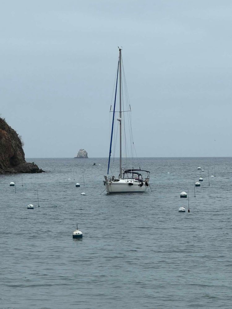Voyage photo from ASA104 - cruise to Catalina