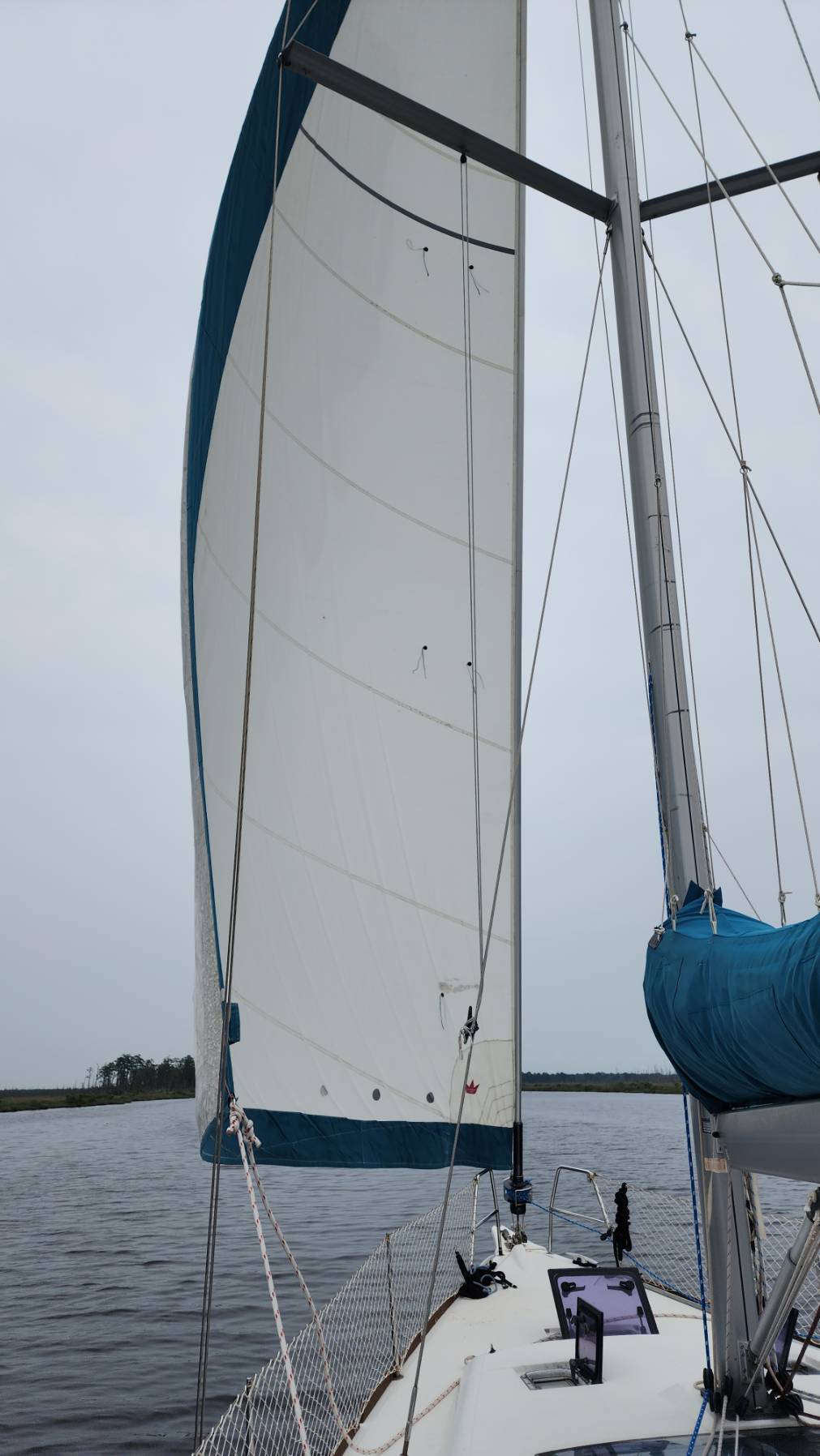 Cruise North - Day 23 - Belhaven to L Alligator R._BF222EE0-9137-4219-876D-A3498F4171FE