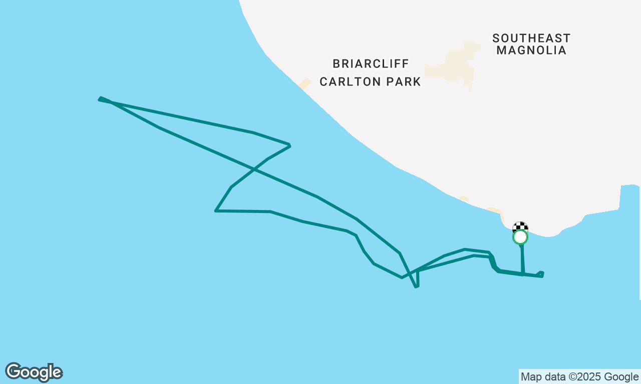 Light sailing/Sail Test