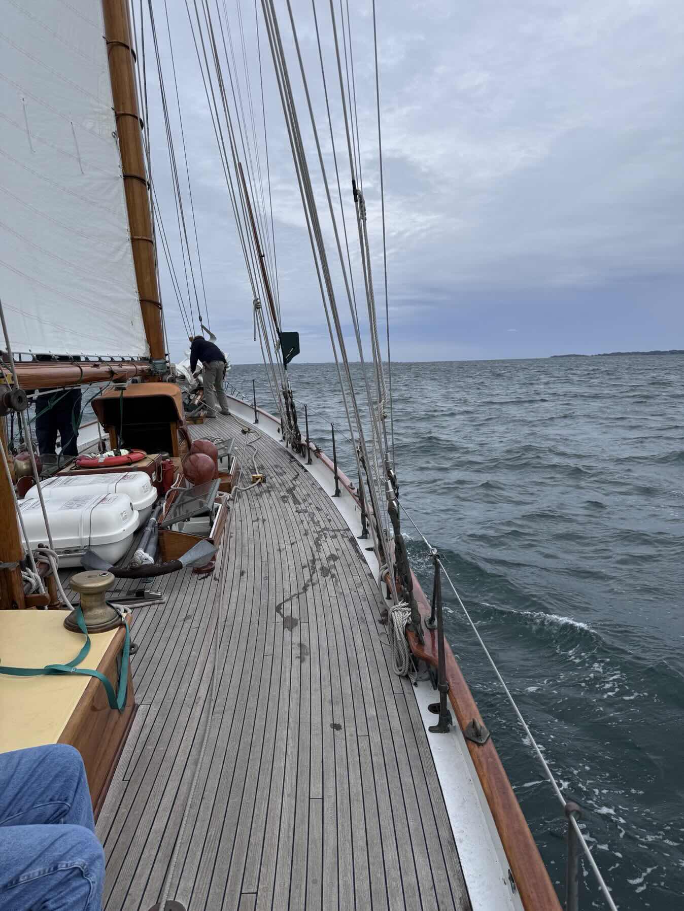 Brilliant Sail_4F7D76FB-73DA-46C6-8962-2FEDF6E1B967