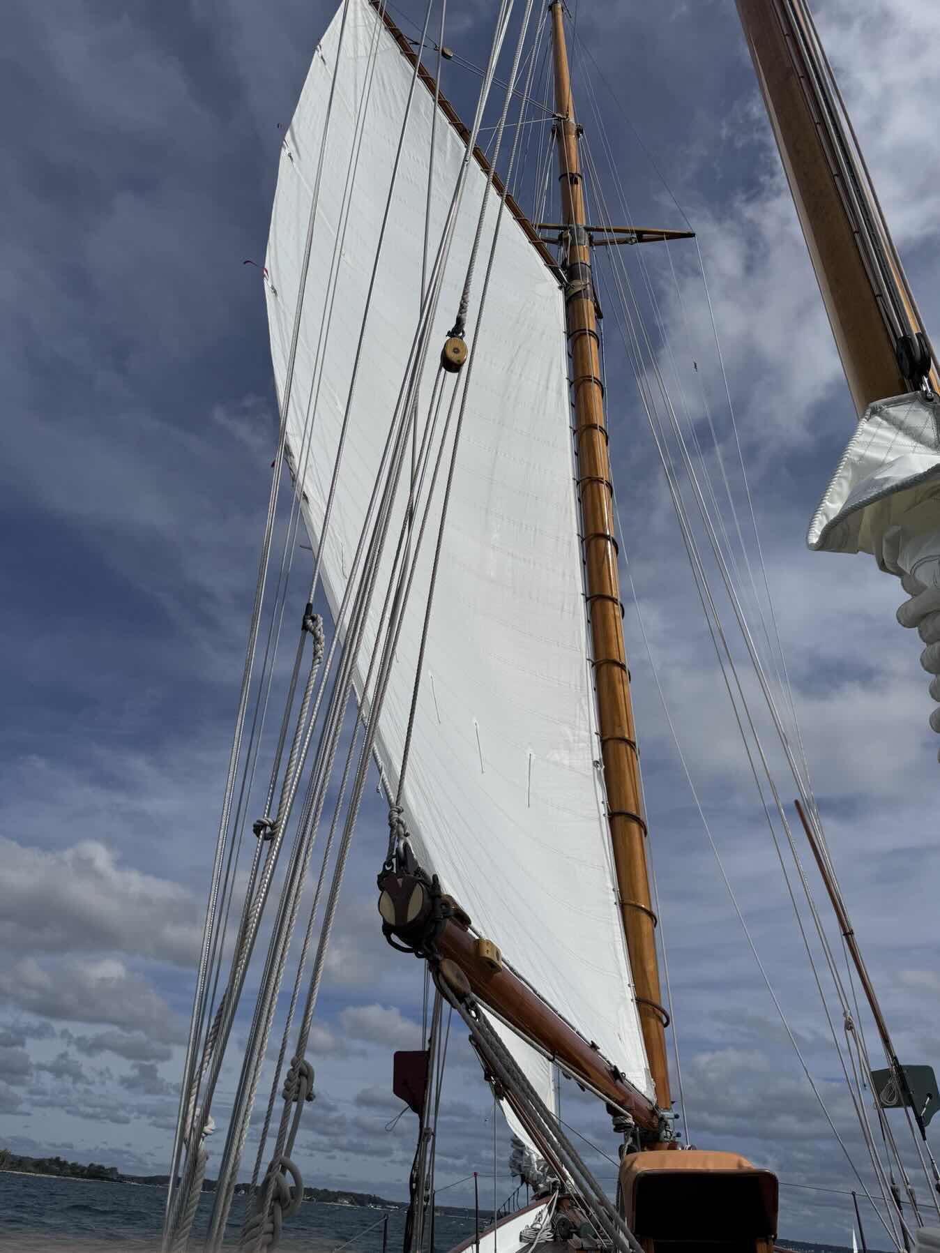Brilliant Sail_774A4803-1AFF-4F05-A83F-F4F5310F4002