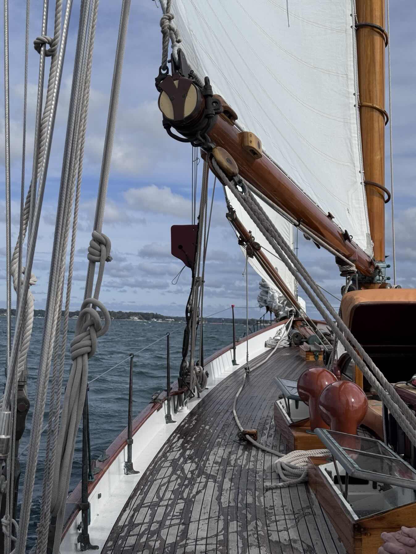 Brilliant Sail_F3B7FAF5-D07B-4D13-BDA7-D88E0A4B572E
