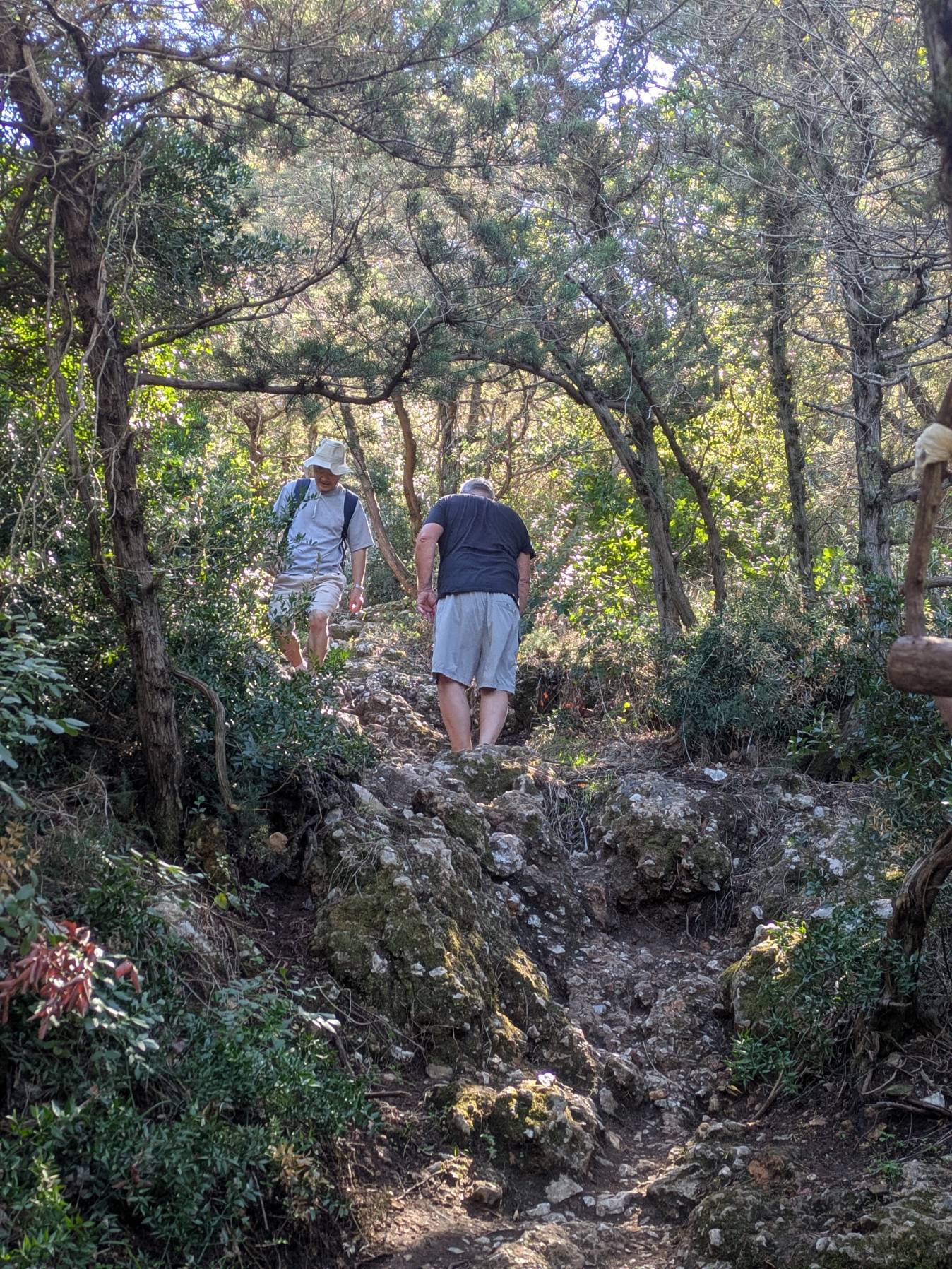 Auf den Berg zur Navarino Burg _98E5A6E0-9B8F-4090-8E46-72AC60449B3B