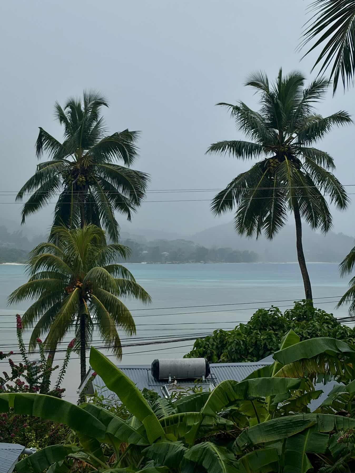 Praslin_A1CCC1C9-3196-4EA5-9197-643B279FCFF1