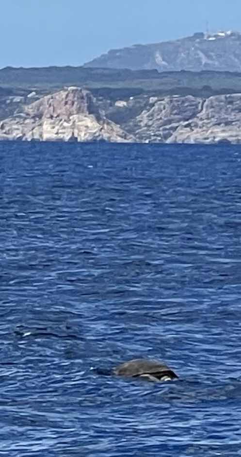 Leg 3 sail along Minorca. _92979ACC-A1C6-4842-A564-8304CD78A056