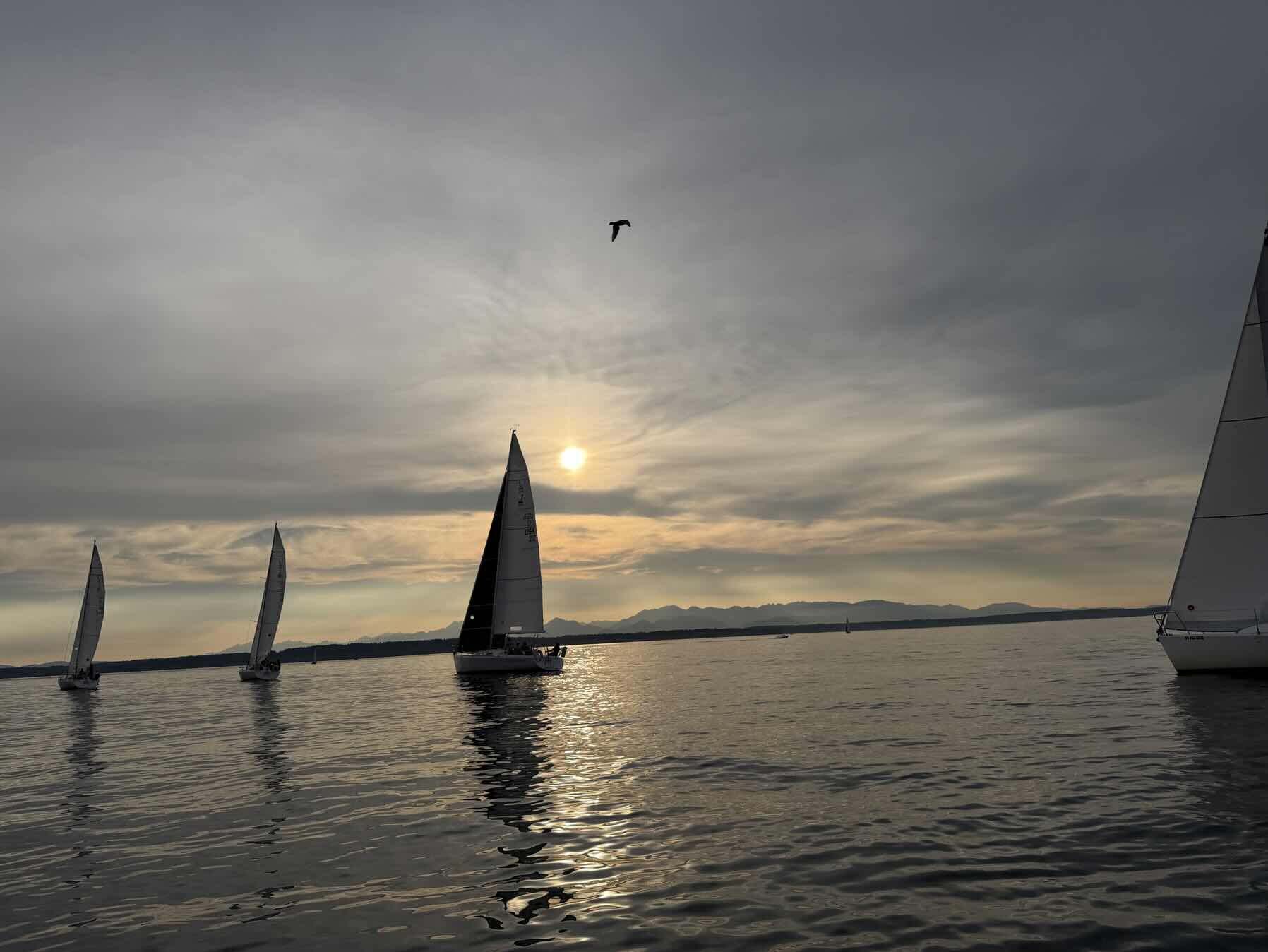 Racing in SailFest_8C6BA9C3-EF92-49EA-8CC3-2075F4C111FD