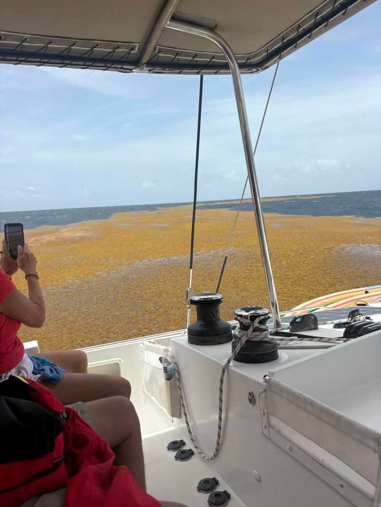 Voyage photo from 2026 Down Island 4th Leg