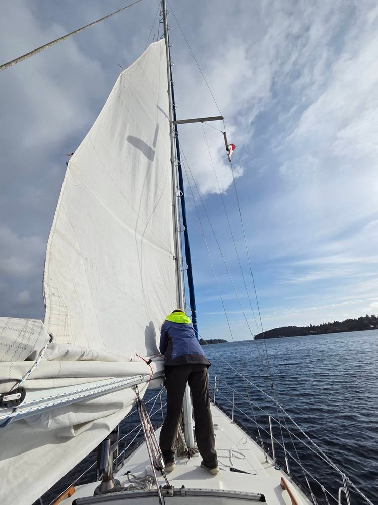 Voyage photo from Remembrance day sail