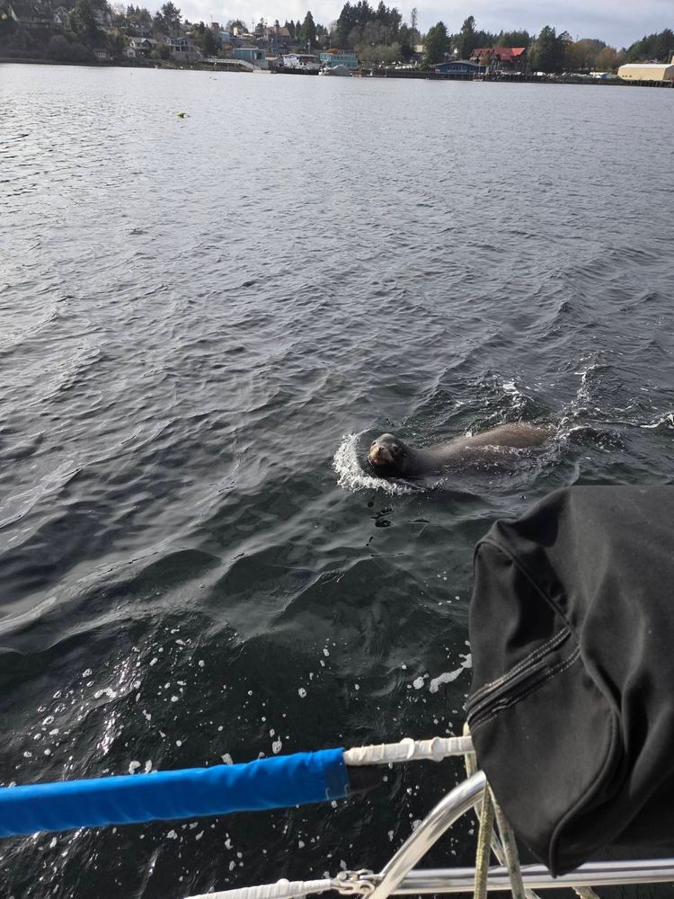 Voyage photo from Remembrance day sail