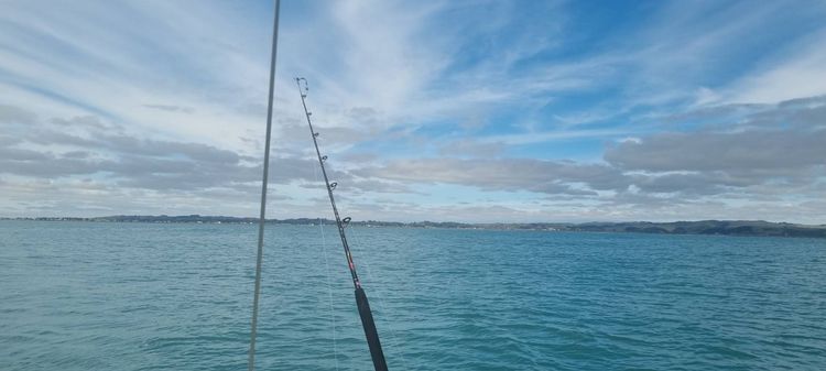 Voyage photo from Day sail in Napier 