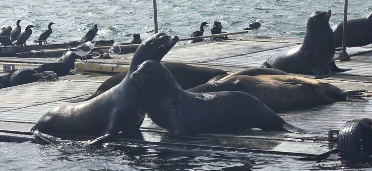 Voyage photo from emb with Amy on 659