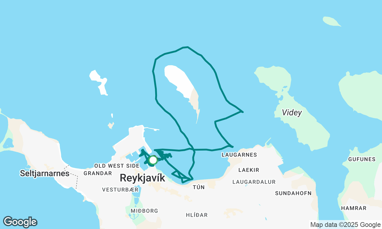 Námskeið dagur 4
