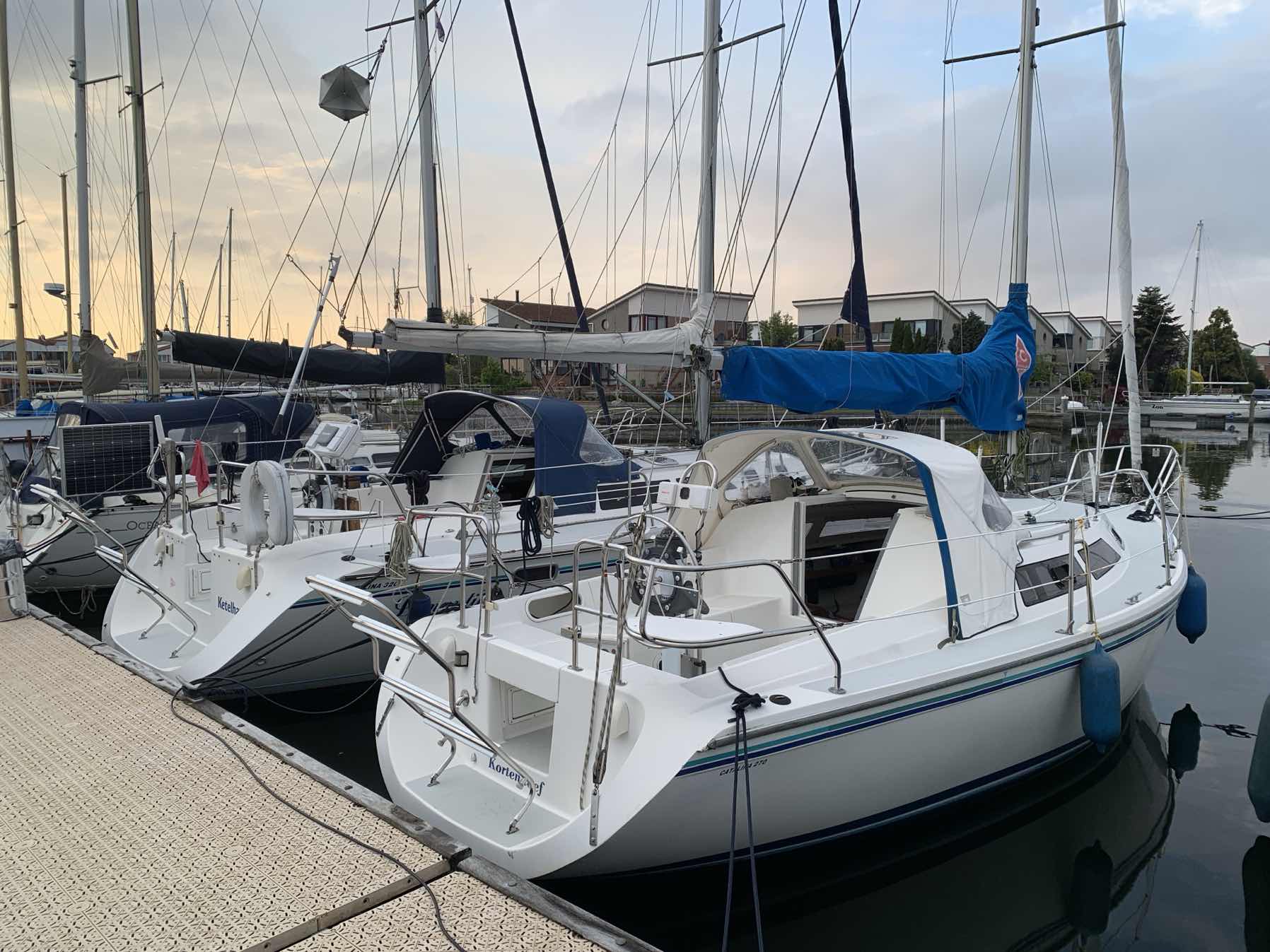 First Motor Sail Avalon 2026_BA63AFFB-7355-4C15-9C14-984B52B0838F