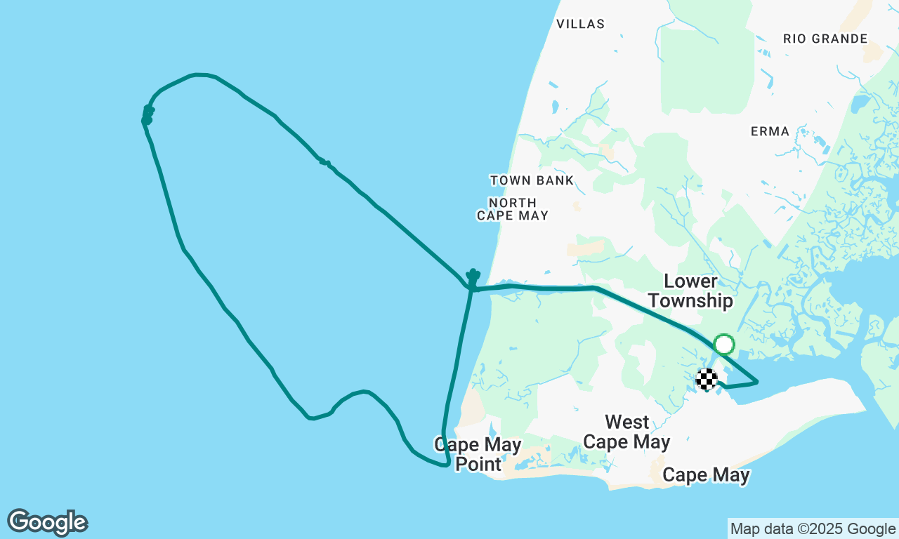 Cape May Whale Watching