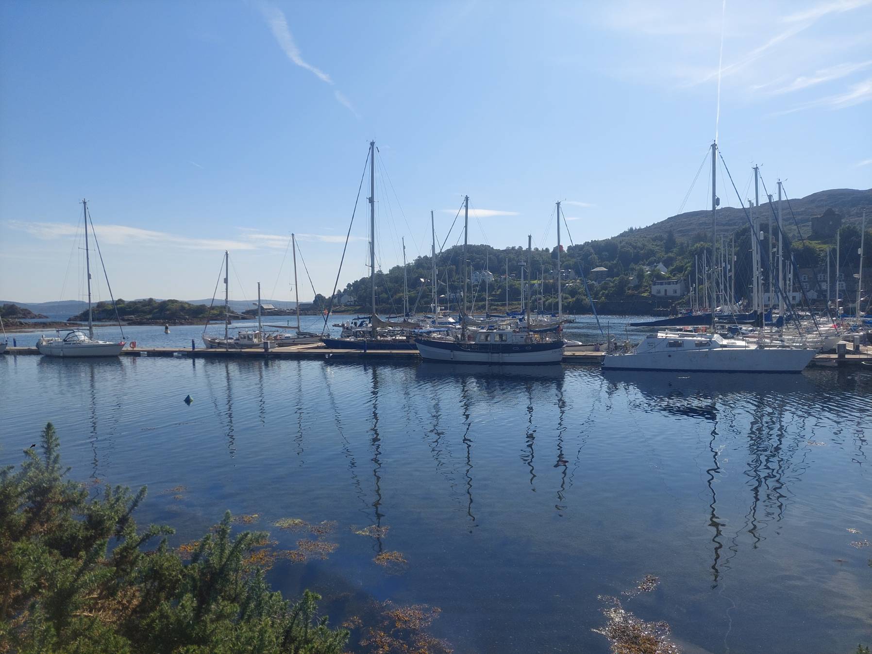 Voyage_8C5D00C3-25F3-4DF4-B121-CA6C2A6F8C67