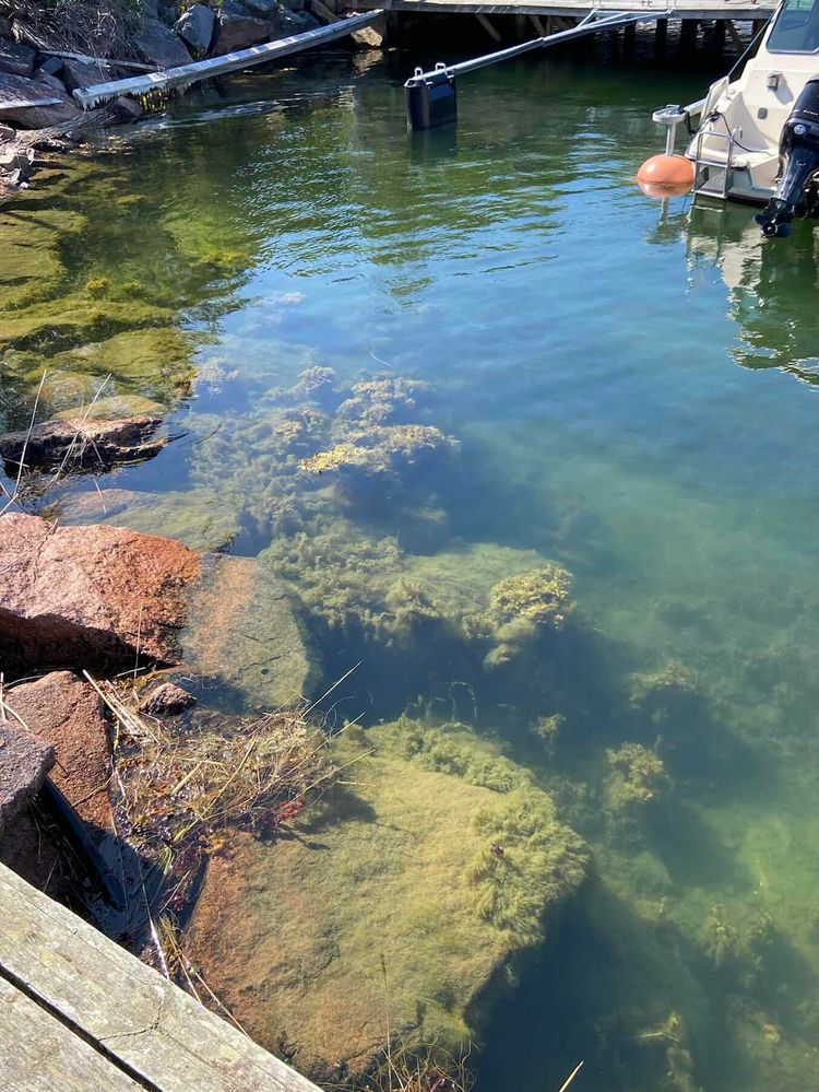 Voyage photo from Day 23, Sailing to protected anchorage in Aland archipelago 