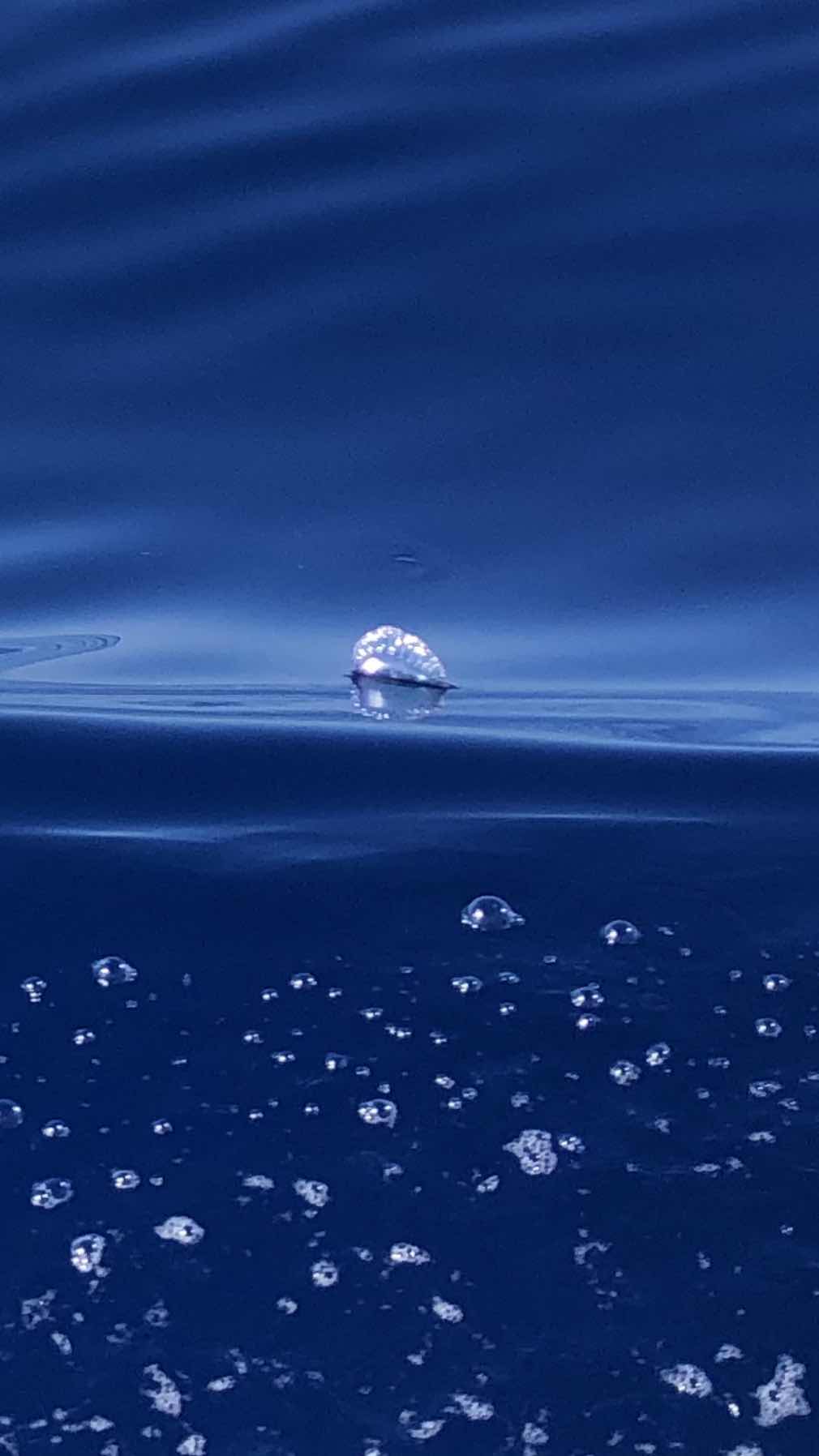 TransAtlantic Bermuda - Faial Açores, Oyster 485_64C7C97B-CFC6-4F28-90C9-E11C44F4CE27