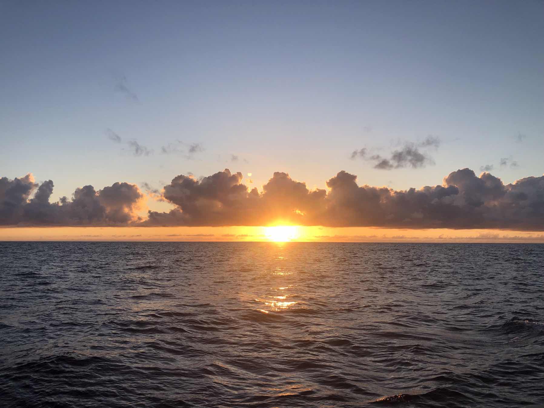 TransAtlantic Bermuda - Faial Açores, Oyster 485_77AD5D8D-1ED0-44DB-8528-46DE19F39F7F