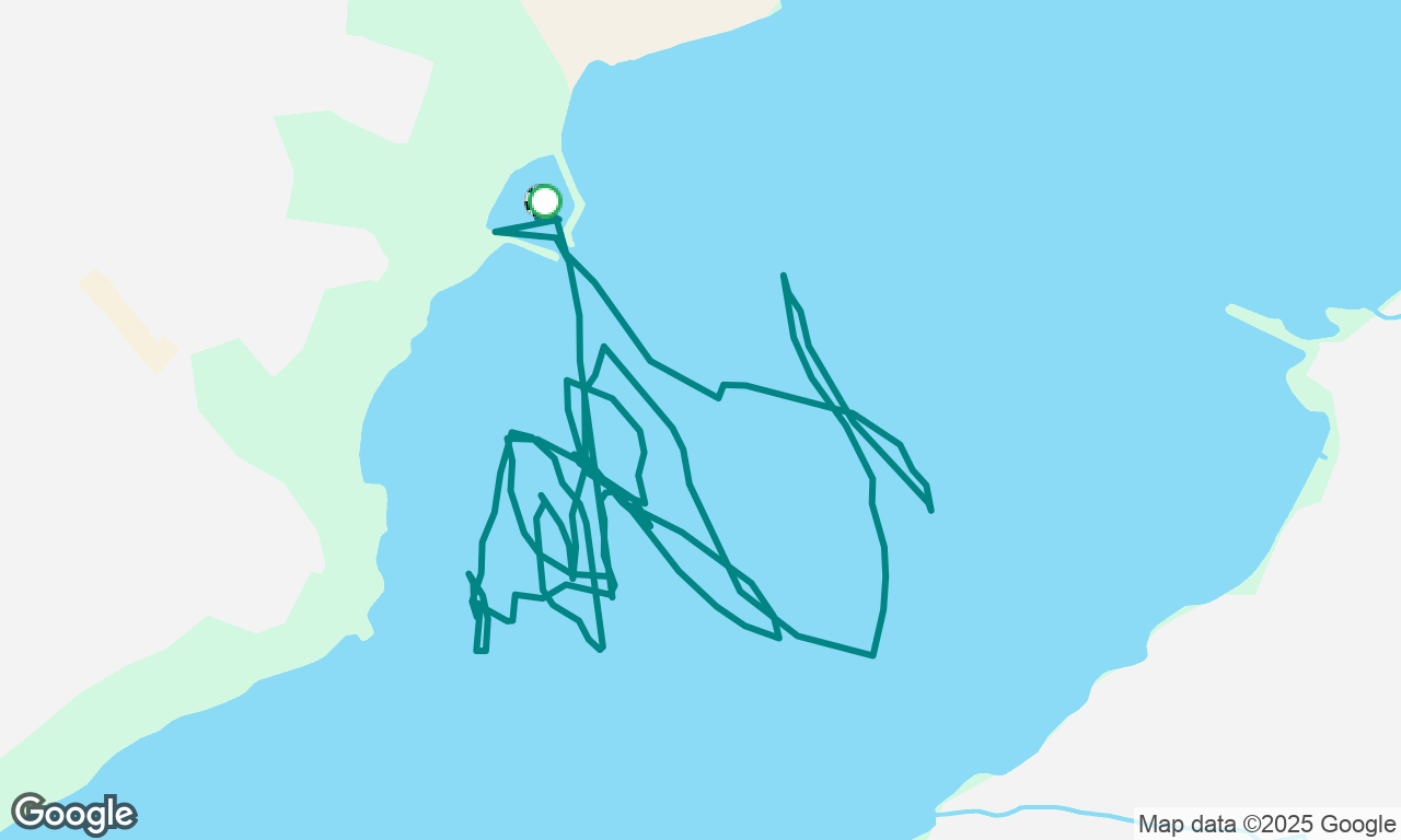 Pratique Windwagon