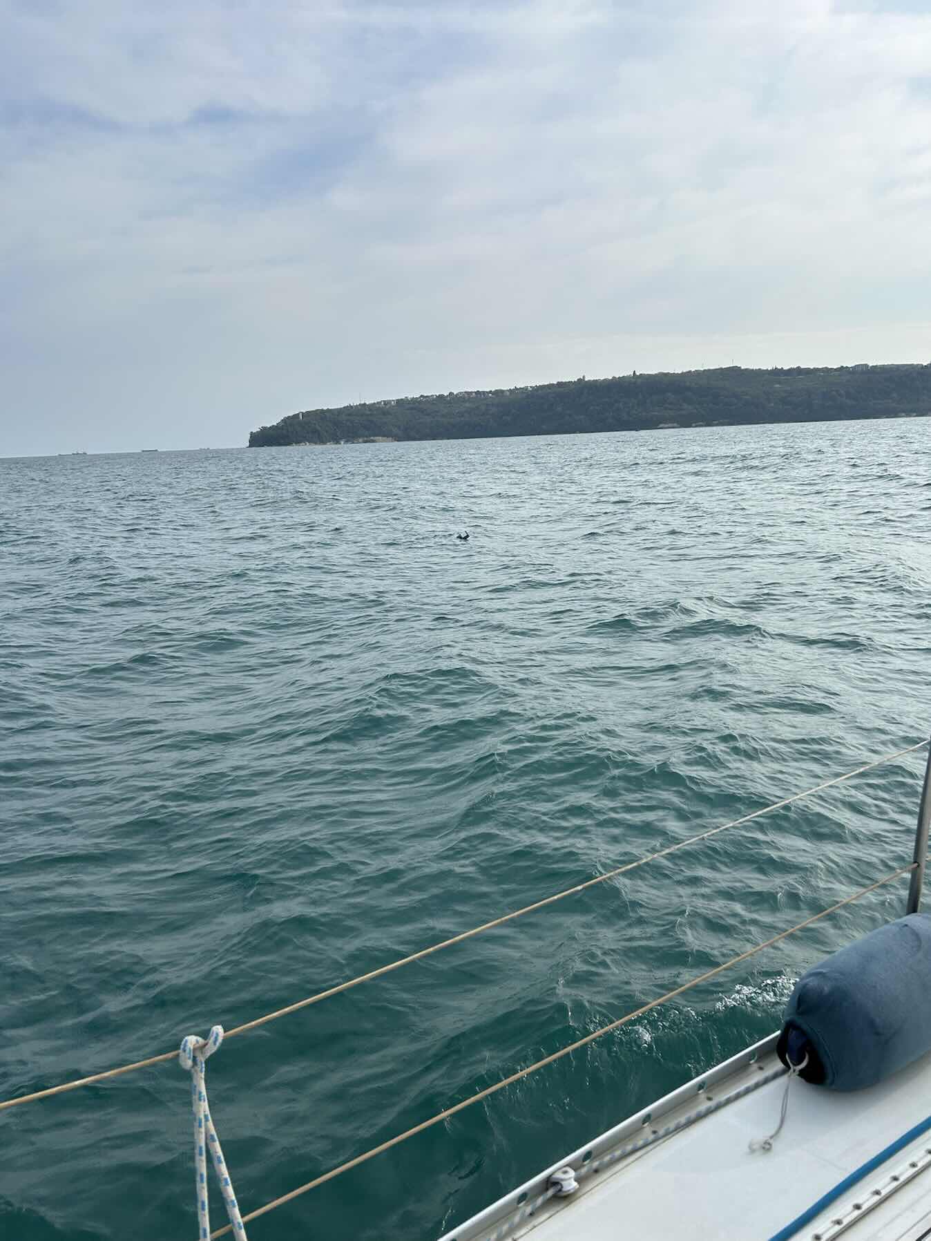 Sail training session_614F38D9-92A3-4D17-9EB4-FEE6E0EAE4FD