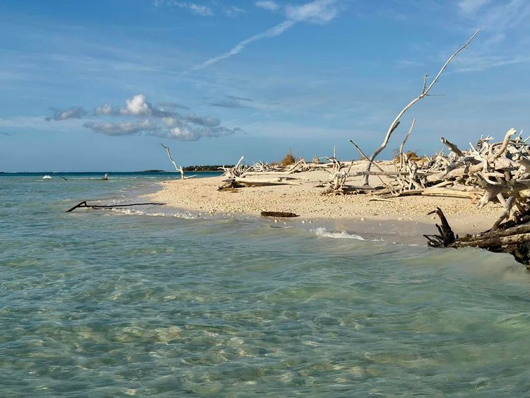 Voyage photo from Bakers to Scottish