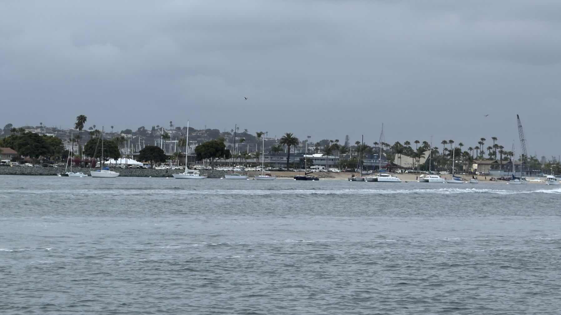 Oside to the Bay_A658EB63-9124-43EC-9E98-90F748344D3A