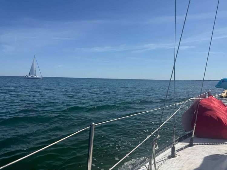 Voyage photo from Regaty o błękitnego dorsza 