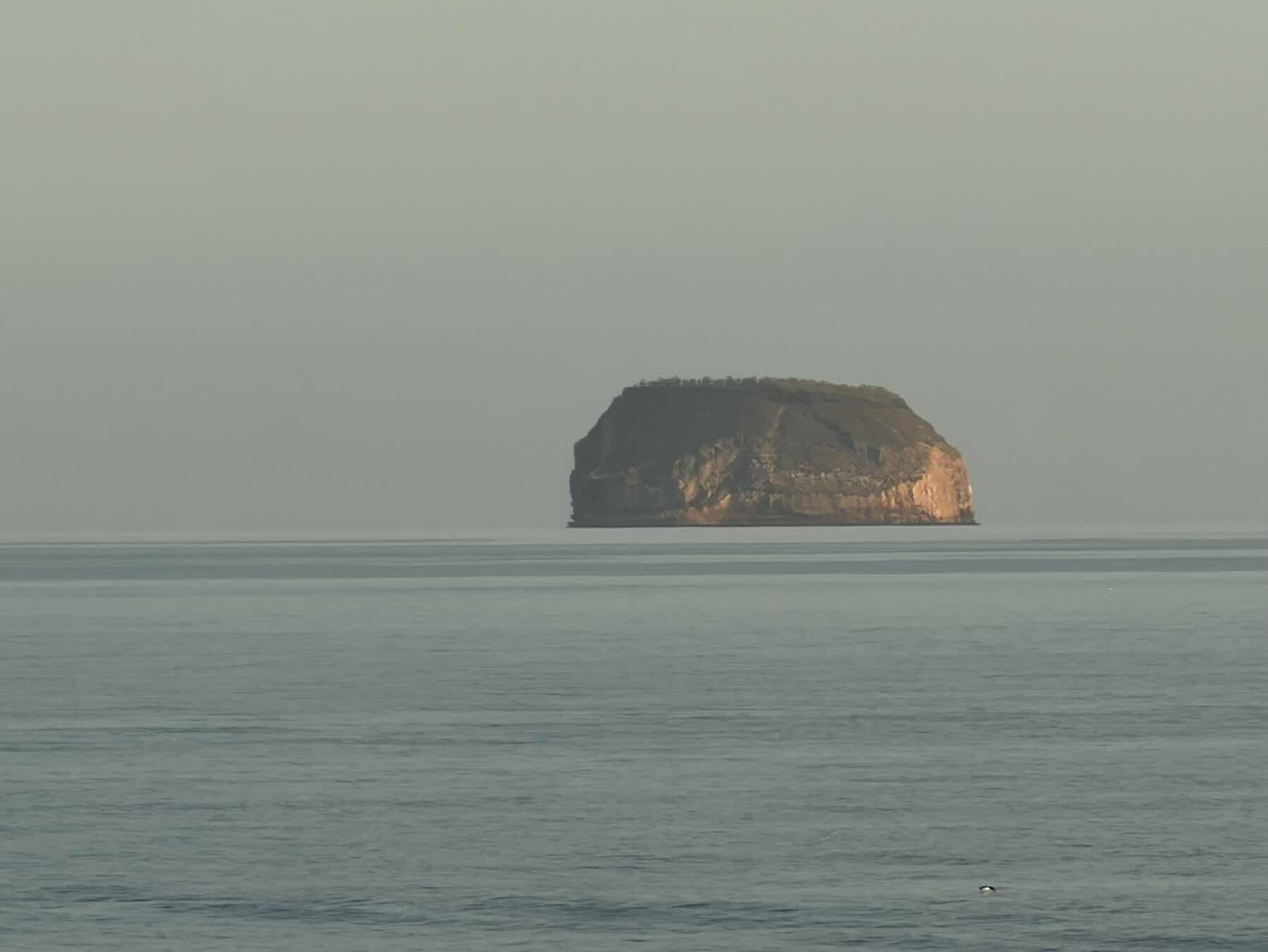Puerto Egas to Bahía Seymour_931AEE64-669C-4332-8EEC-9A39FD7CC065