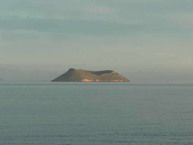 Voyage photo from Puerto Egas to Bahía Seymour