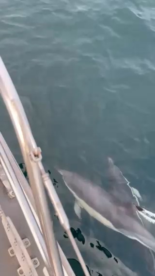 Wales, Ireland, Isle of Scilly and Cornwall 2025_E394B4DF-4C6B-4FC2-B203-301AD7EB8BDE