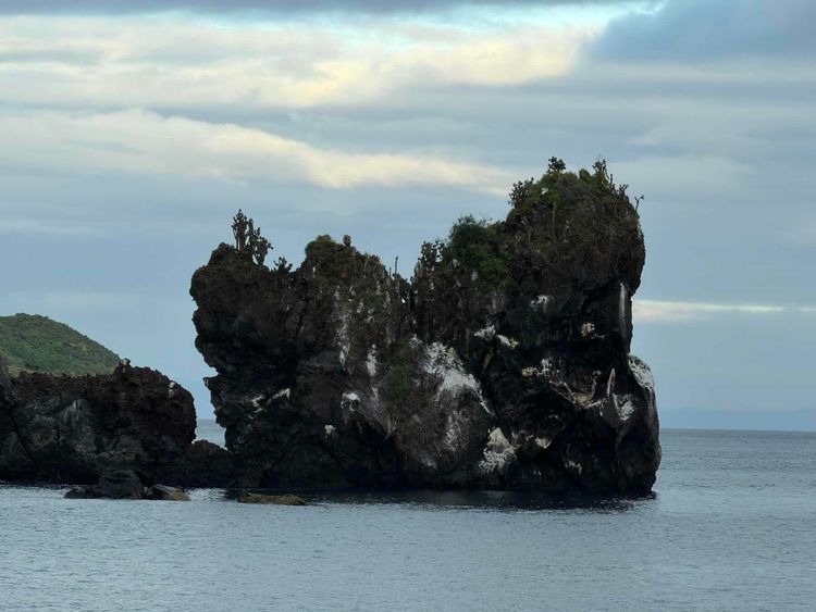 Voyage photo from Punta Albermarle, Isabela to Caleta Bucanero, Santiago 