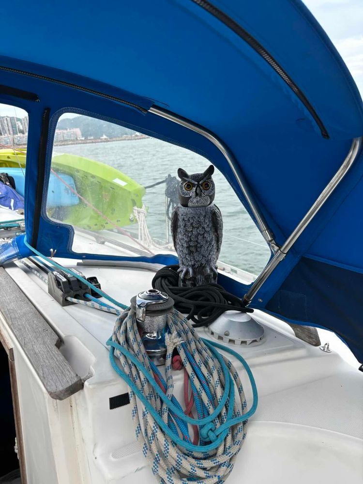 Voyage photo from October sail!