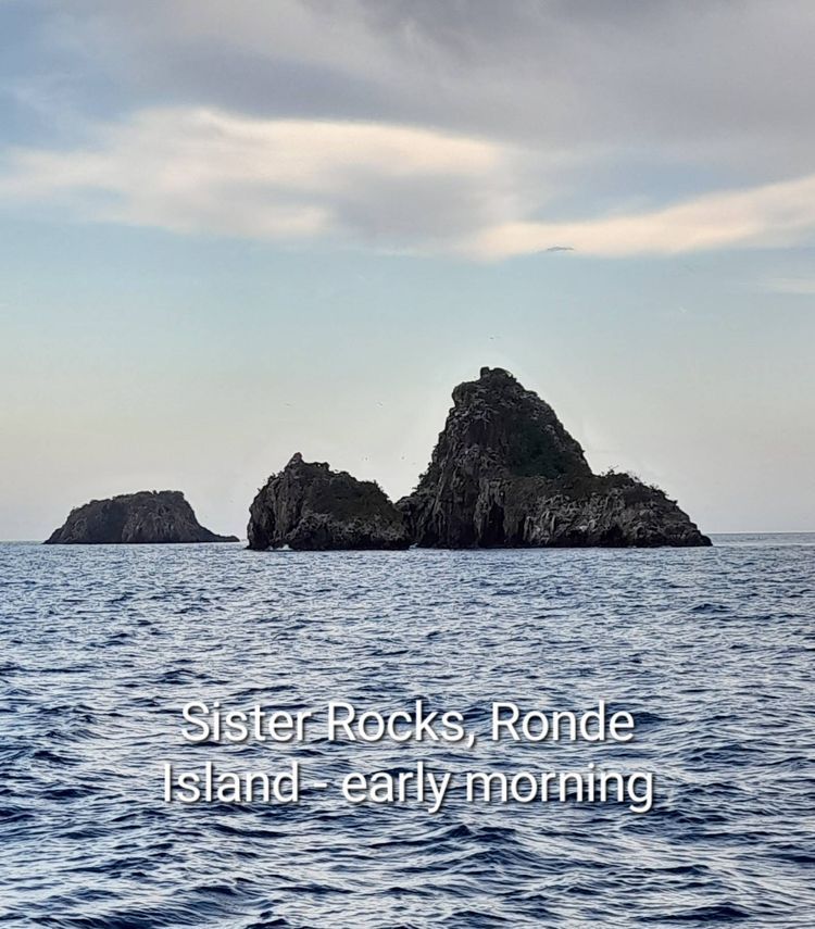 Voyage photo from Ronde Island to Prickly Bay