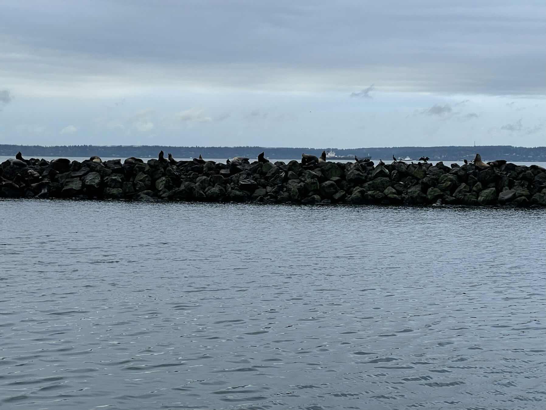 Group Sail to Elliott Bay Marina_F066B111-8663-4130-8323-A3FBC316411A
