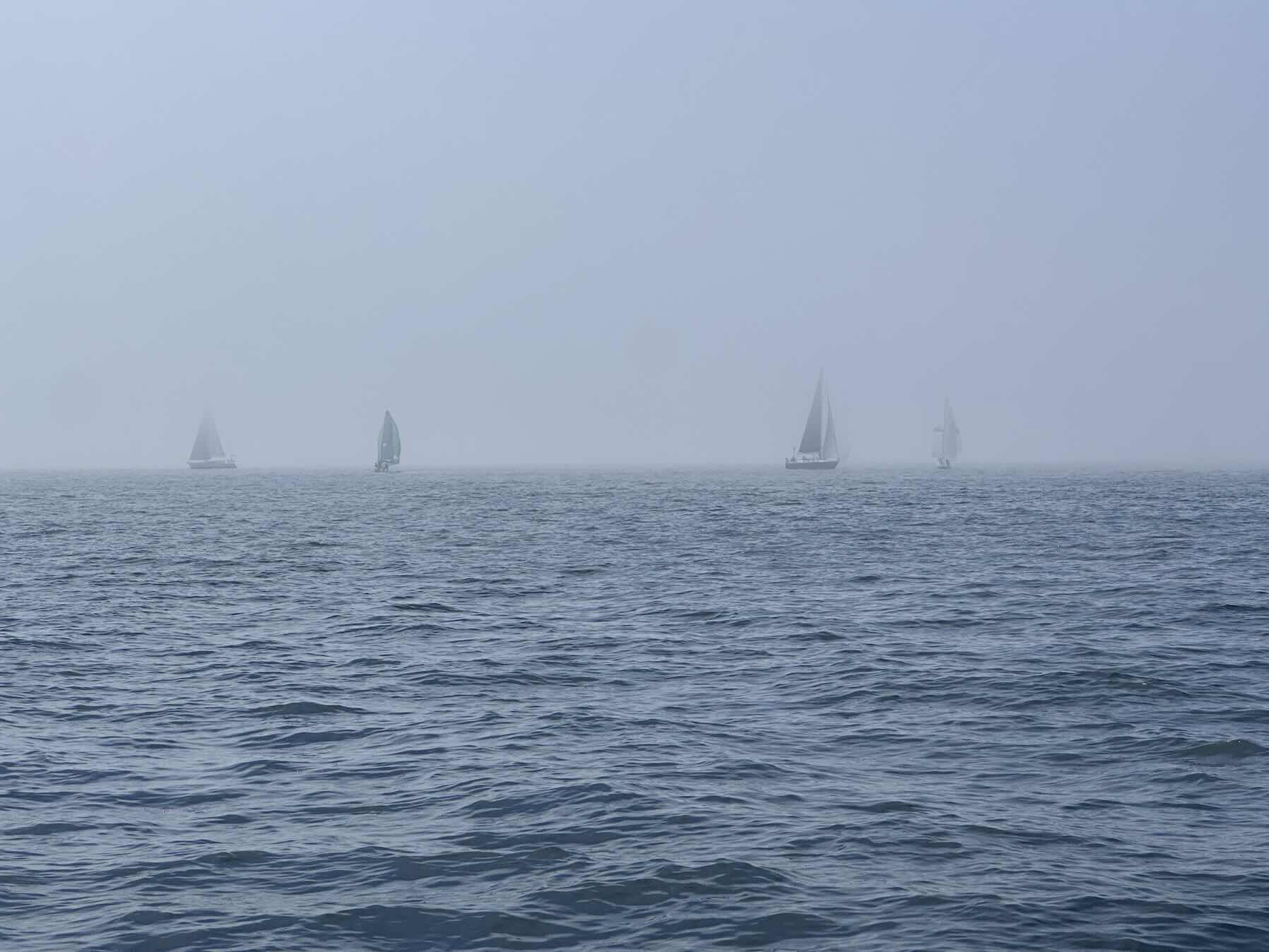 Fast Mermaid Regatta_BFAFC04B-B352-41CF-B32A-6A656FAA906F