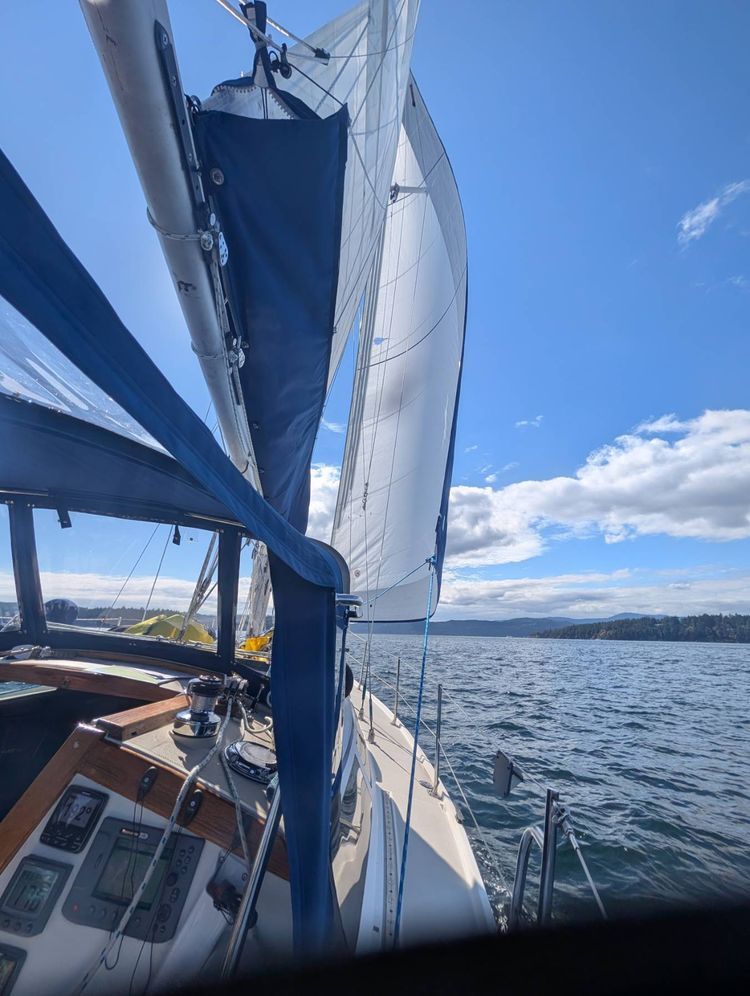 Voyage photo from Intermediate day 3