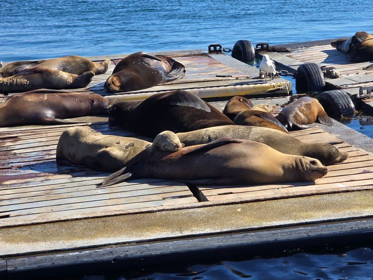 Voyage photo from sp5 with Kim on 699