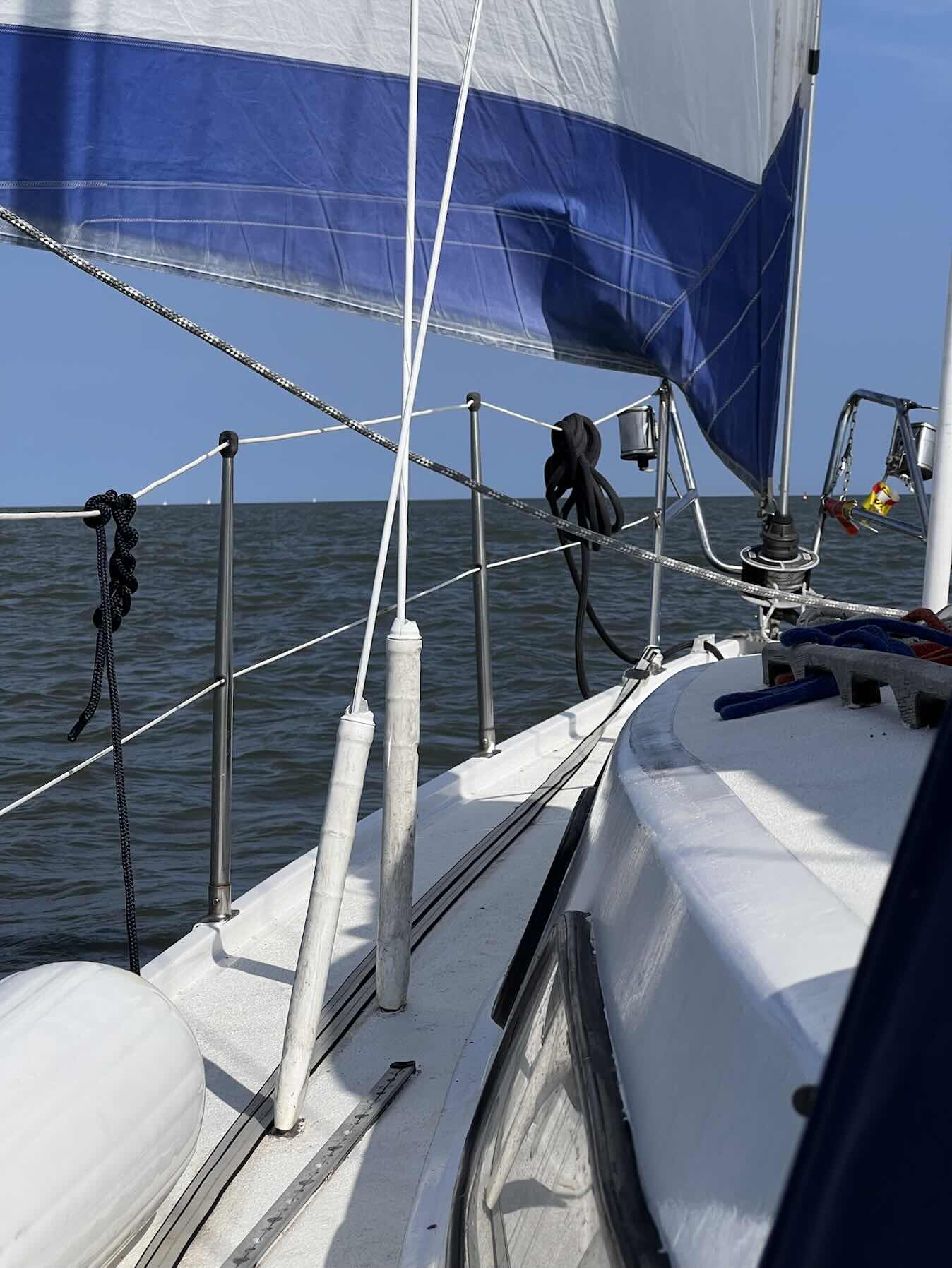 Across the Wadden Sea 2025_83BE6BDB-24E2-4DF6-8B5A-C14FB3619BDD