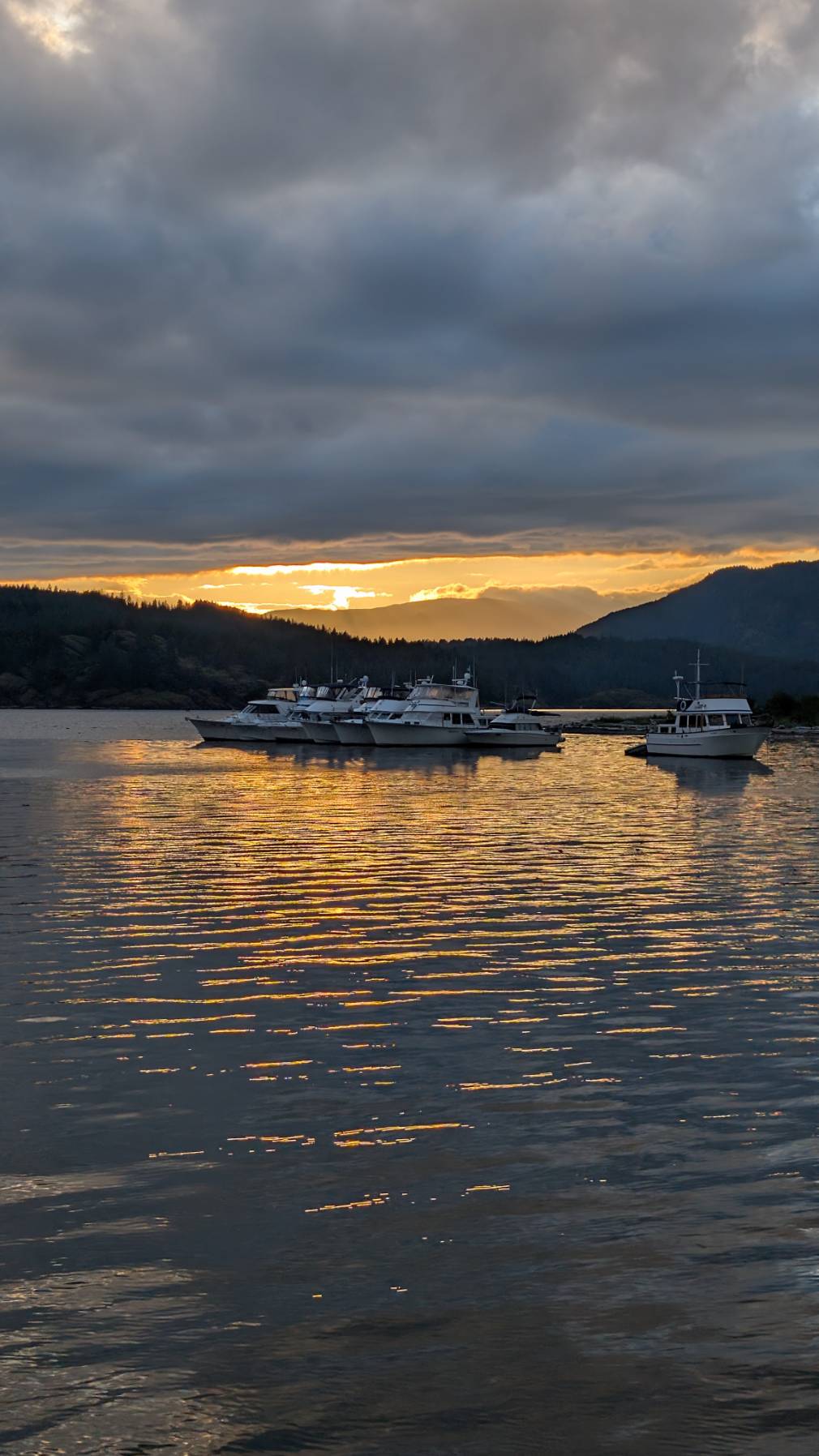 Day 5 - Octopus Islands to Heriot Bay_66A535AC-5D2A-4160-B45B-D43BD79033FD