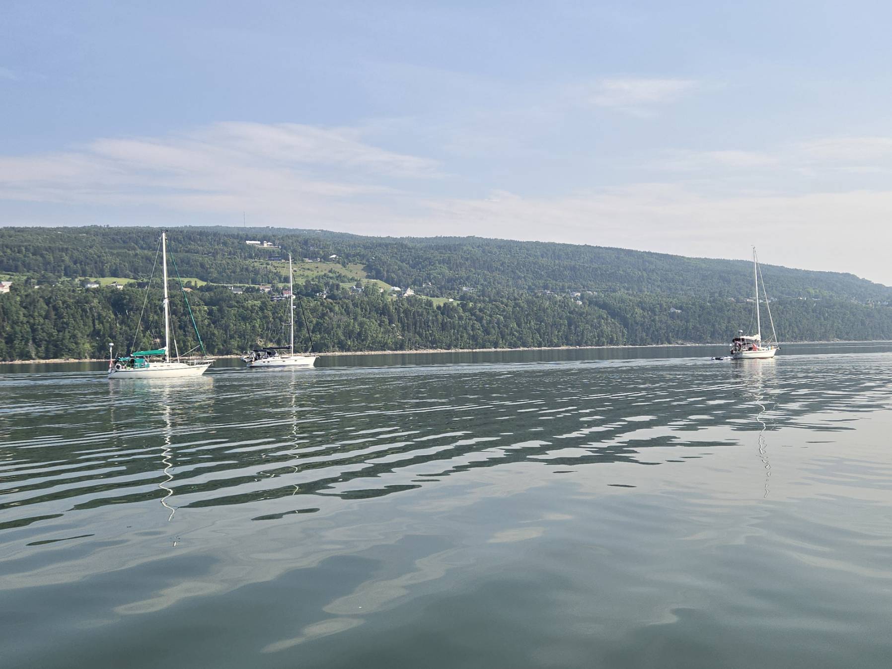 Flotille 2025, Jour 4_E34CA177-BAFA-4217-893F-C5578071F2CF