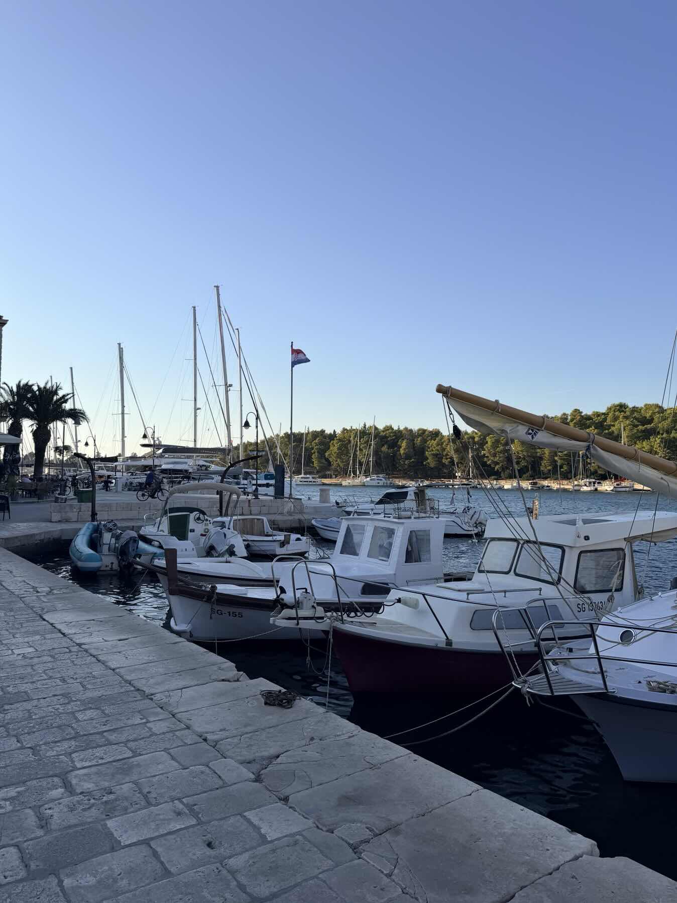Voyage_48591861-D4CF-4938-99F8-88044D7646A8