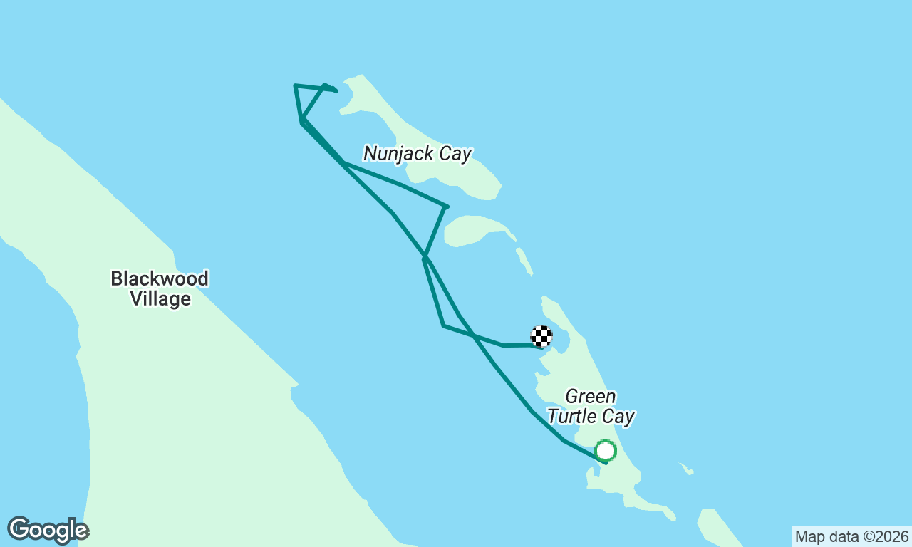 Bahamas 2026 Feb 26: Green Turtle to Manjack, ...