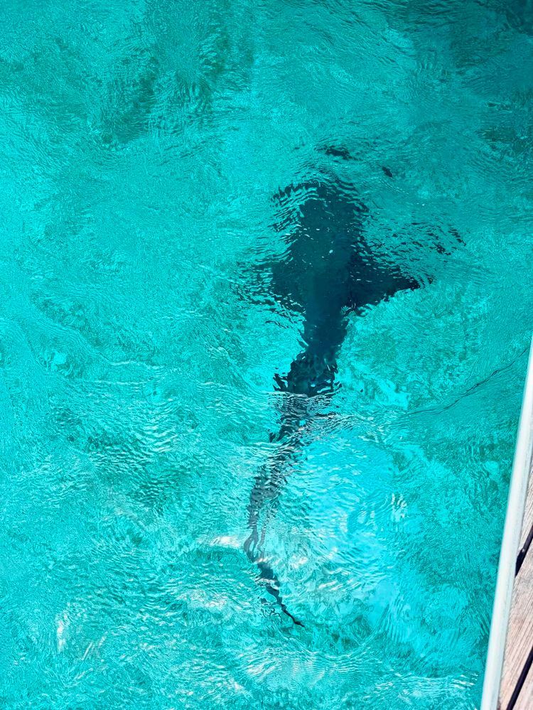 Voyage photo from Staniel Cay - George Town Exumas