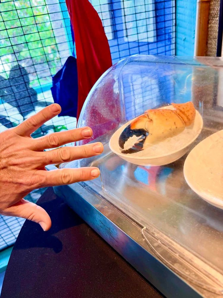 Voyage photo from Staniel Cay - George Town Exumas