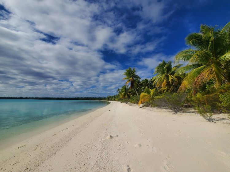 Voyage photo from Maupiha'a, French Polynesia - Penrhyn, Cook Island