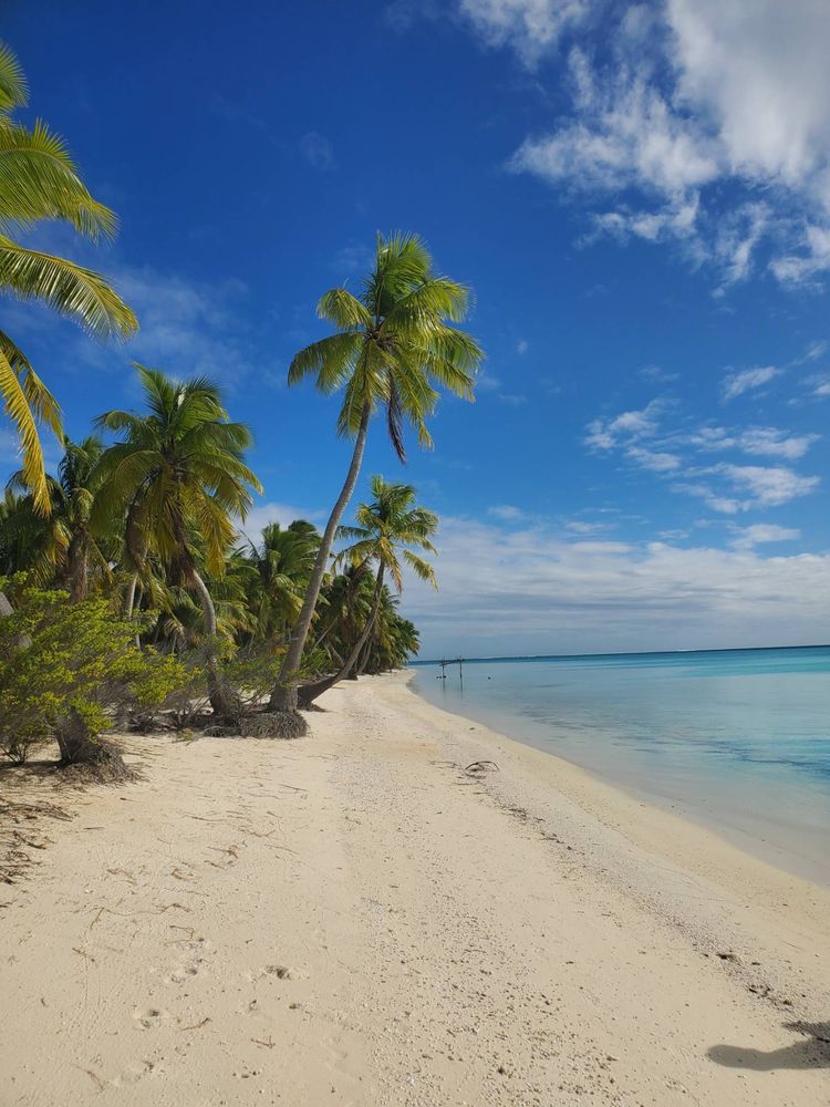 Voyage photo from Maupiha'a, French Polynesia - Penrhyn, Cook Island