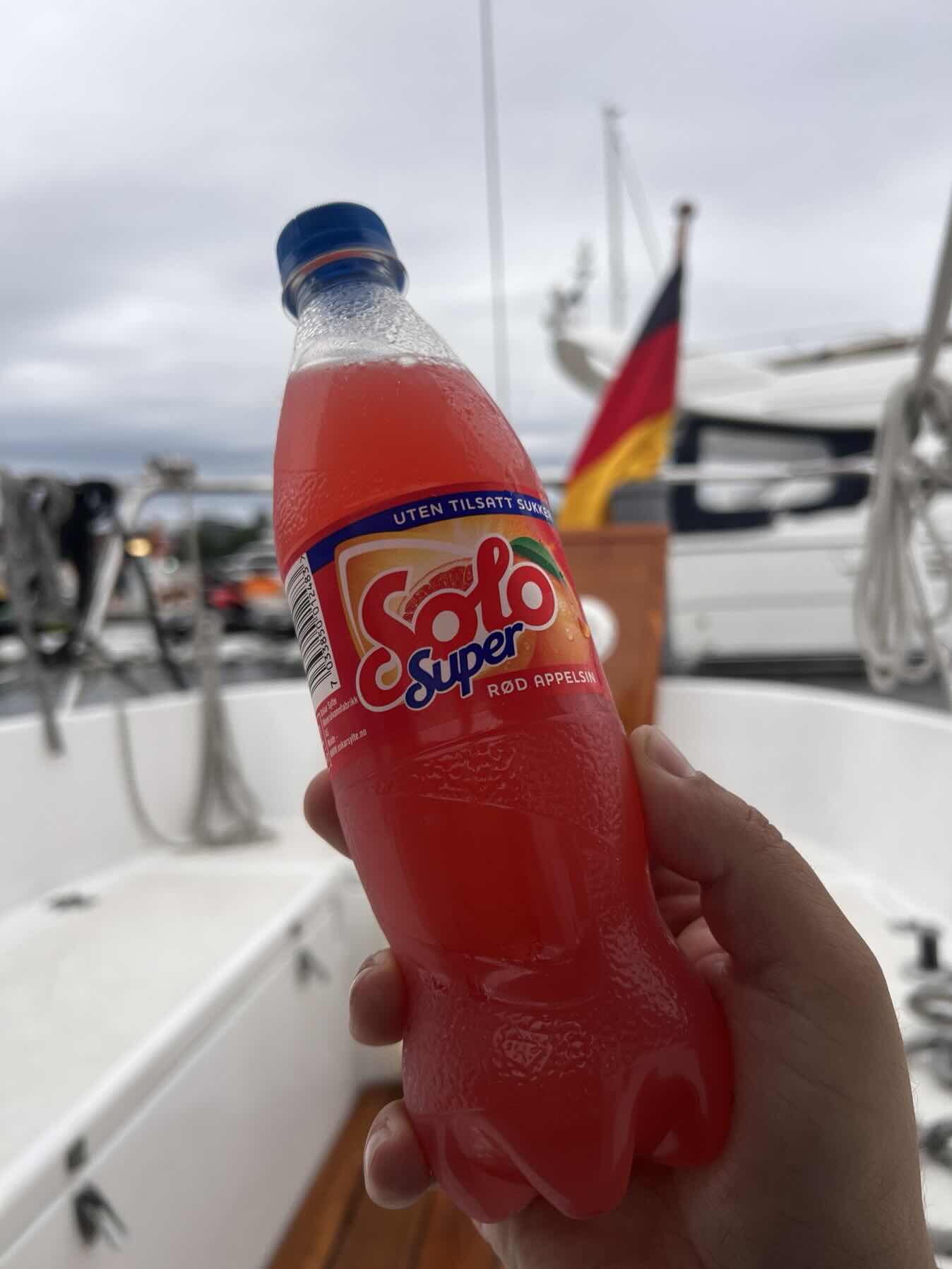 Skagerrak Exploring. Leg 07. Fuglevik – Oslo
