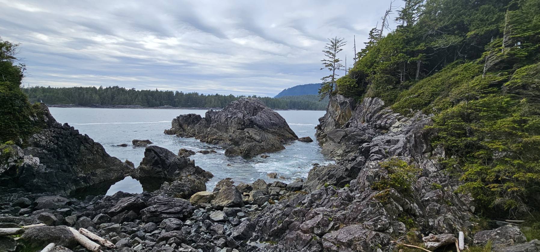 RRR Day 17
Friendly Cove to Hot Springs Cove_B6DD14B5-9C70-45DB-A9FD-441FFDC3E150