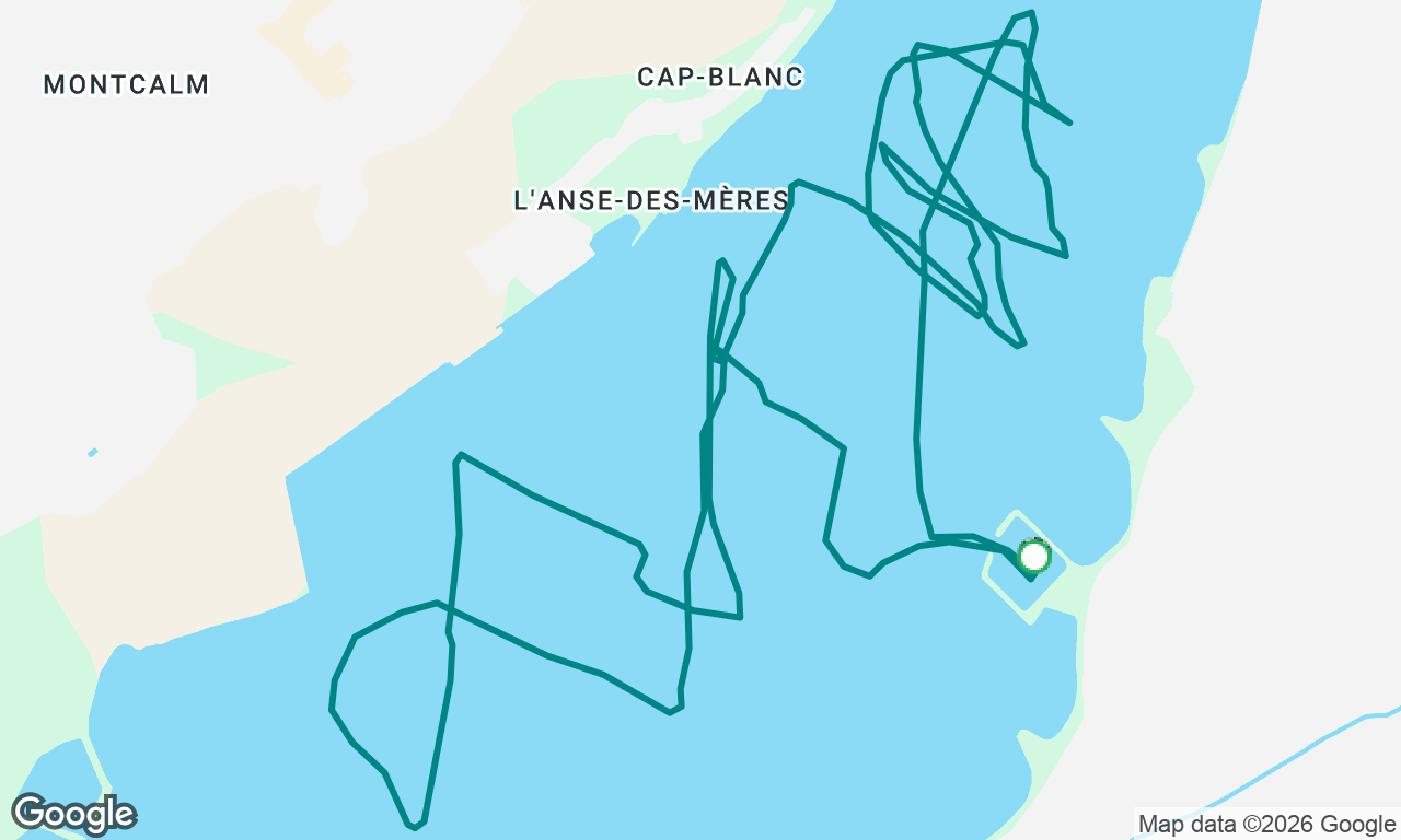 Sortie découverte